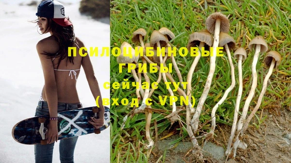 mdpv Алексеевка