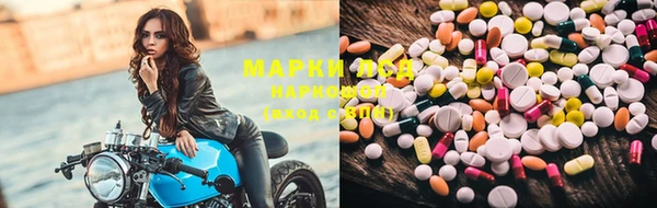 прущая мука Алзамай