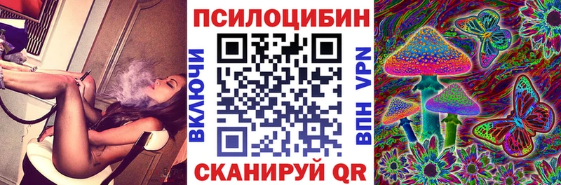 закладка  Джанкой  Галлюциногенные грибы MAGIC MUSHROOMS 